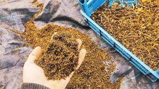 Bitki Artıklarından Kompost Ve Torf Yapımı