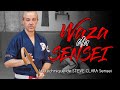 Waza du sensei avec steve clara sensei   tsue gei jutsu