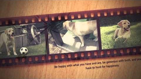 Vintage Slide Projector Photo Gallery After Effect Template