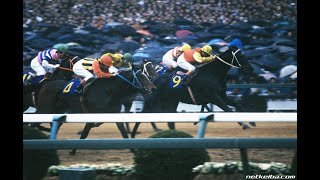 中央競馬年鑑　1982　年度代表馬 ヒカリデュール