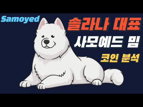 솔라나 대표 밈 코인 사모예드 코인분석 Samoyed Coin SAMO Feat 바이낸스 FTX 