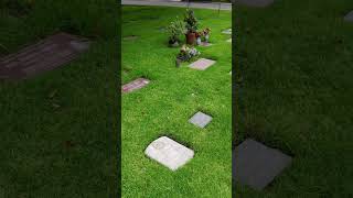 The future grave of Beach Boys legend Brian Wilson