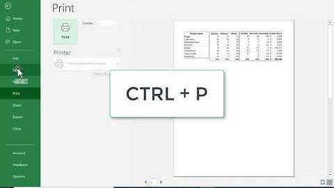 Using the Camera Tool in Excel