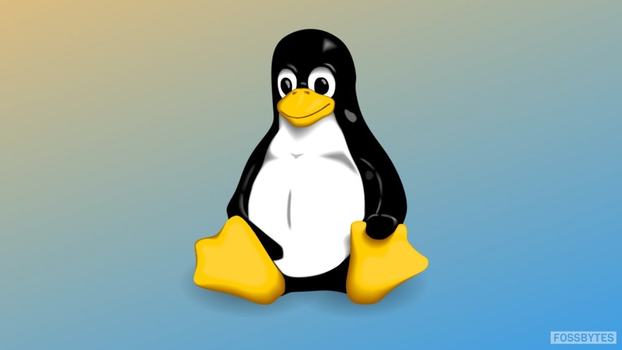 Linux basics