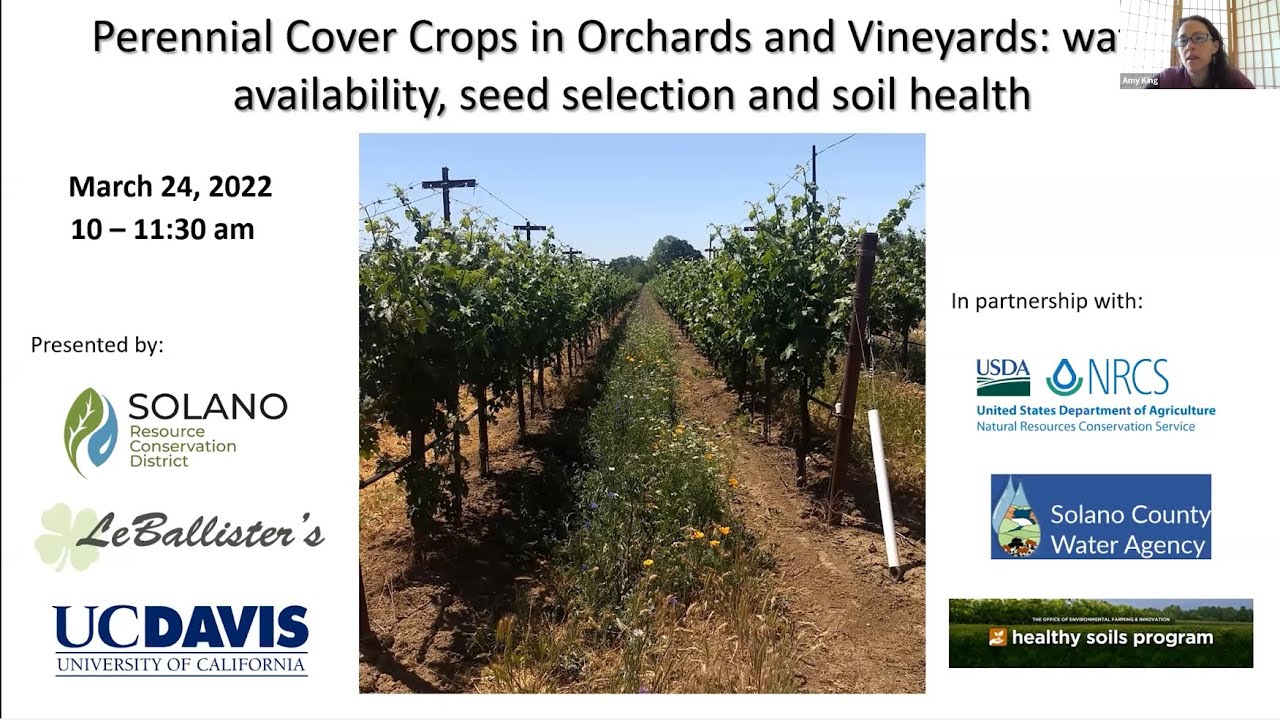 Solano county department of agriculture (86) foto