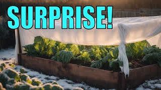 3 Steps to Protect your Garden from Cold Weather, Frost & Freeze!