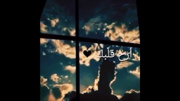 حالات واتس دينية مؤثرة قصيرة /سورة النمل/ إسلام صبحي 💙💙2020