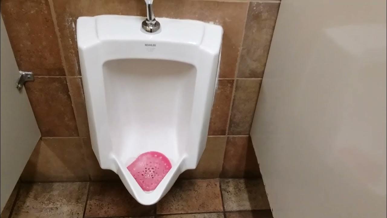 PetSmart Men's Restroom in Chattanooga, TN YouTube