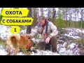 Охота с собаками. Выпуск 1. Охотничьи приключения в Норвегии /NORDIC WILD HUNTER (Охотник и рыболов)