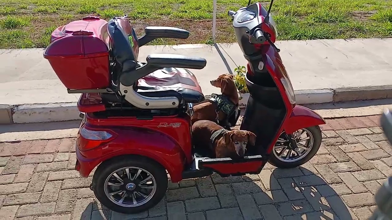 Os caramelos do FBI(Federação dos baixinhos invocado) andando de moto.