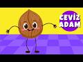 Ceviz Adam Şip Şap Şop Komik Animasyon 🌰😂  Gülümseten Bebek Şarkıları