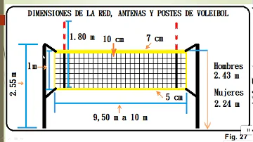 ¿Cuánto miden las zonas de saque defensa y ataque?