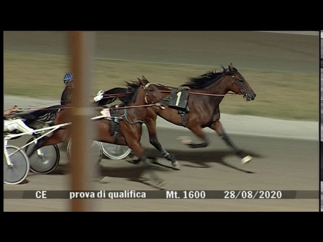 2020 08 28 | Metri 1600 | Prova di qualifica 2