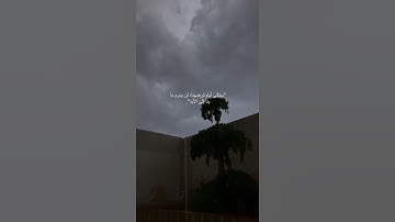 تلاوة هادئة - قرآن حالات واتس اب 🌧🤍