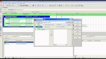 Primavera P6 identifying driving predecessors