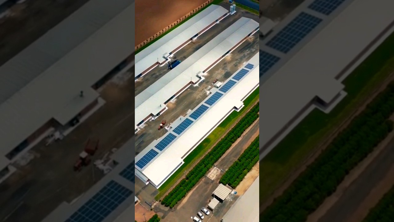 Energia solar Fotovoltaica usina de 75kWp indústria aviária