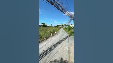 Xã cần giuộc đất lúa mặt tiền nhựa xổ thể hiện đường 4 m !( LH : 0902,743,559 )