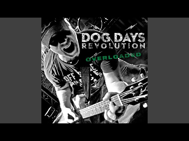 Dog Days Revolution - Rich And Famous