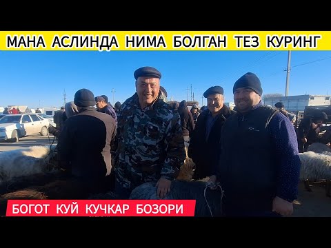 МАНА АСЛИНДА НИМА БОЛГАН ТЕЗ КУРИНГ !!! ХОРАЗМ БОГОТ КУЧКАР КУЙ БОЗОРИ 12 МАРТ 2025-ЙИЛ