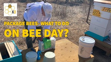 How to install Package Bees? Beginners