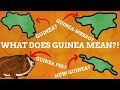 Why Do Many Countries Have Guinea In Their Name?