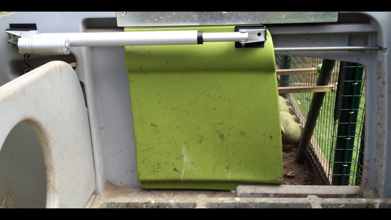 First attempt at an automated Eglu Cube door. YouTube