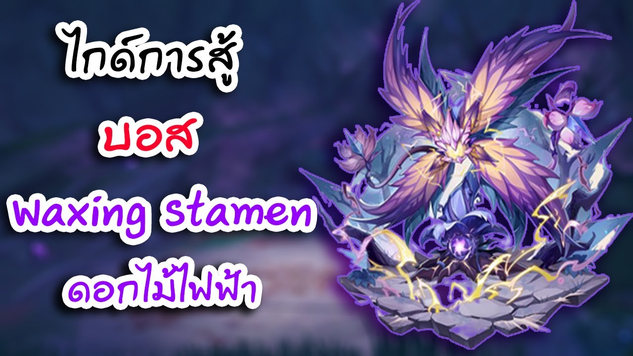 ไกด์การสู้กับ Waxing Stamen บอสดอกไม้ไฟฟ้า Genshin impact YouTube