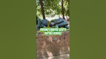 Unbelievable Animals Caught on Camera at Fresno Chaffee Zoo