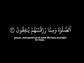 سورة البقرة الآيات 15 الشيخ ياسر الدوسري القرآن الكريم شاشة سوداء Surah Al Baqarah mp3