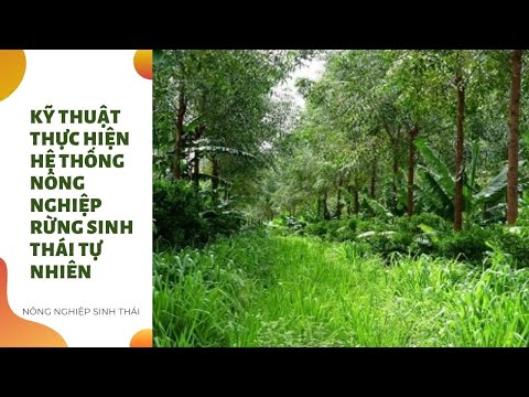 Video: Vườn Sinh Thái: Gần Gũi Với Thiên Nhiên Và Tự Nhiên Hơn