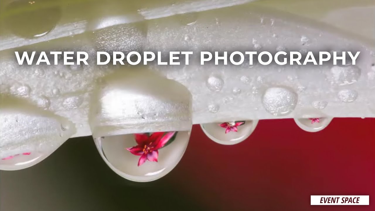 Water Droplet Photography, from Gear to Editing, with Brian Linhoff | B&H Event Space