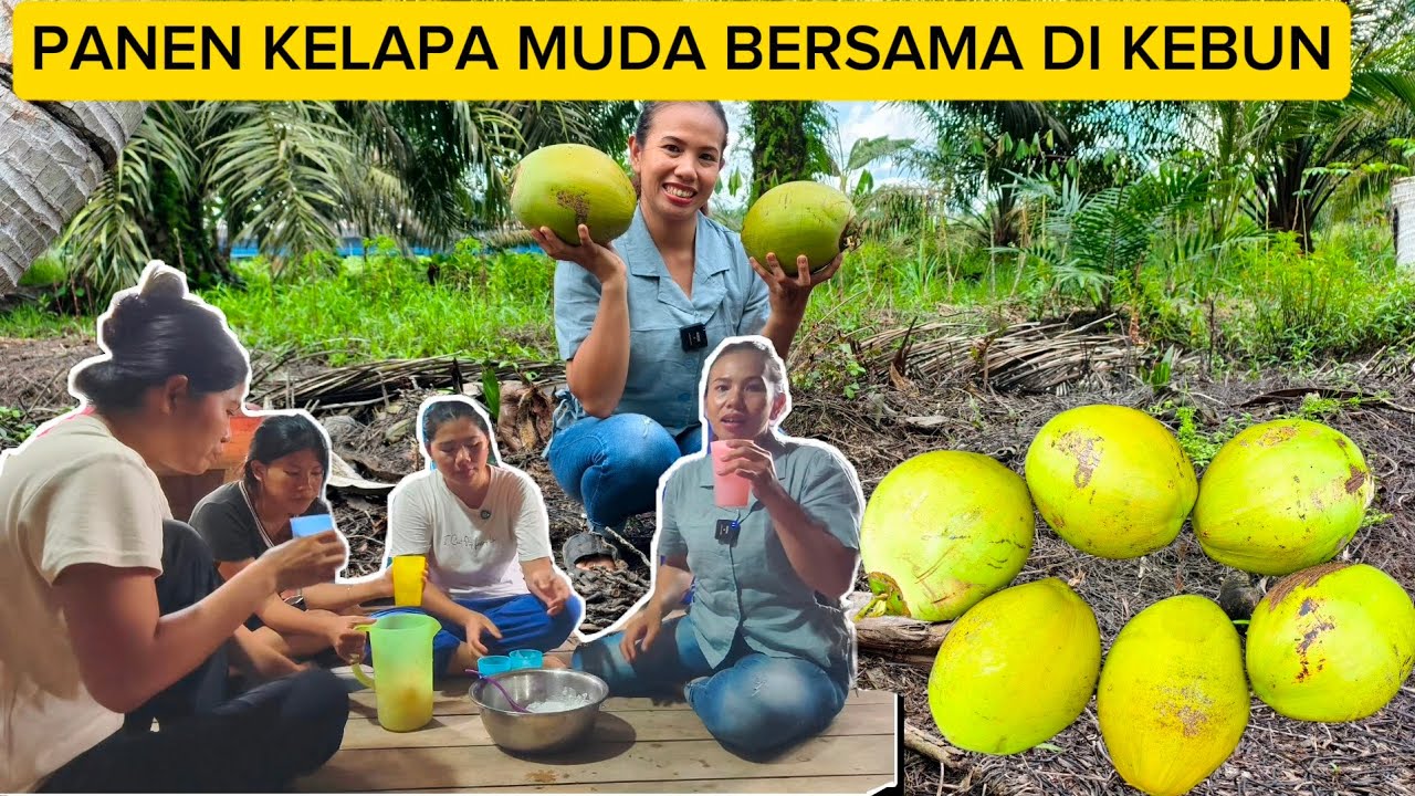 PANEN KELAPA MUDA BERSAMA SUAMI LANJUT SINGGAH PASAR FLAMBOYAN BELI BUAH DAN SAYUR