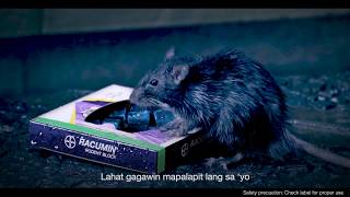 Racumin Rodent Block Video: Basang Basa screenshot 4