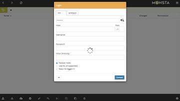 Monsta FTP Professional Edition: Login Manager
