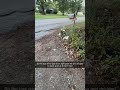 #funnyshorts #helpmemakethismakesense #repost #relatable #snapchat