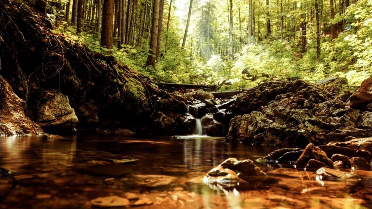 Звучащая природа. Релакс водопад. The natural musician. Солнце сквозь зелень. Горы лес водопад.