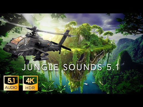 5.1 Jungle Sound | Thx Surround-Ex | 4K Hdr