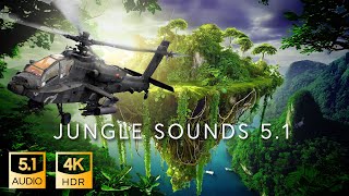 5.1 Jungle Sound | THX Surround-EX | 4K HDR