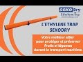 How to use the Ethylene Trap by SEKODRY®?