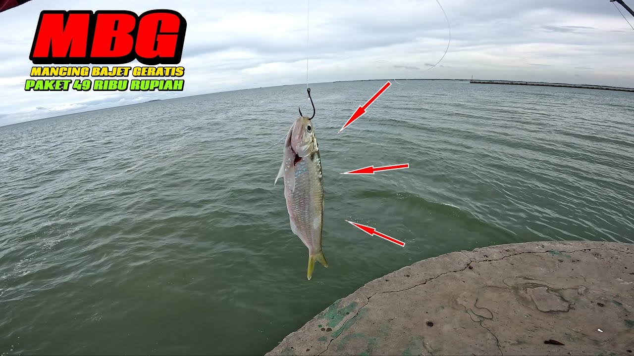 WEDAN..!! MODAL 49 RIBU DARI RUMAH PULANG BAWA IKAN KAKAP BESAR || MACING DI DAM IJO