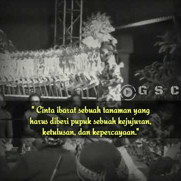 Cak Percil Kumat Misuh Wong Wedok Jancok Story WA terbaru 2021