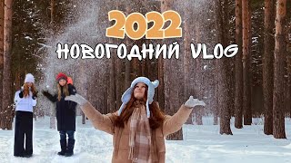 Зимний VLOG | Новый Год!