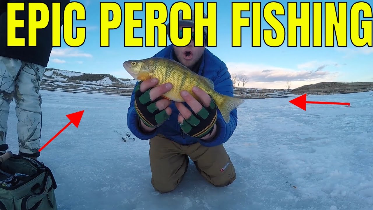 ICE FISHING Montana PERCH & WALLEYE MultiSpecies ICE Fishing! YouTube