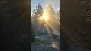 Unbelievably Beautiful February Morning