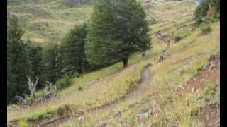 Chile Mountain Biking Vid