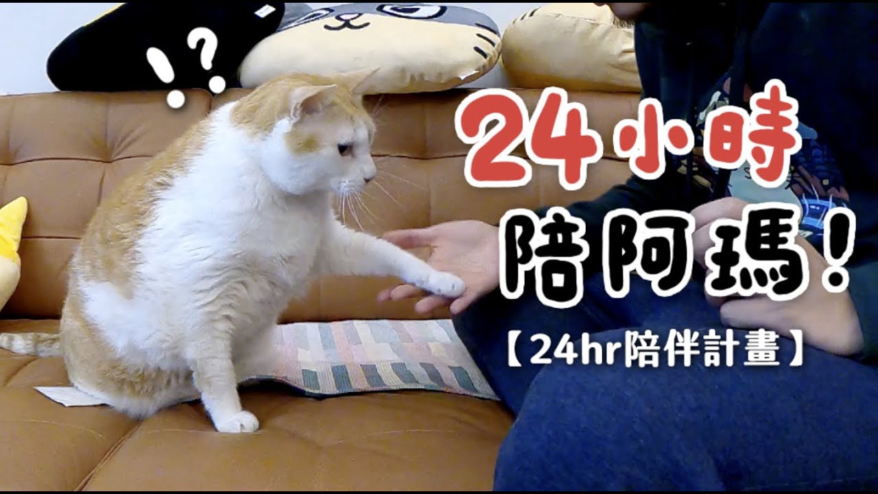 【黃阿瑪的後宮生活】24小時陪阿瑪！｜24hr陪伴計畫