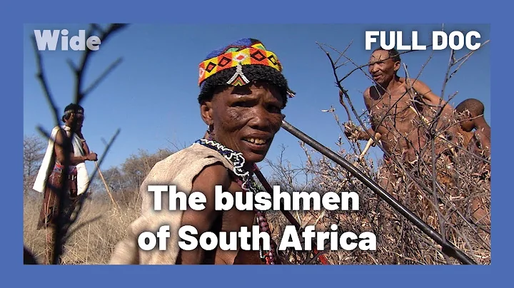 One of the world's oldest cultures: bushmen | WIDE | FULL DOCUMENTARY - DayDayNews