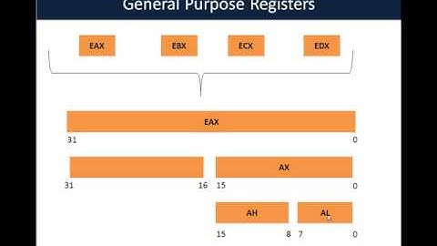 Assembly Primer for Hackers Part 1 System Organization Tutorial