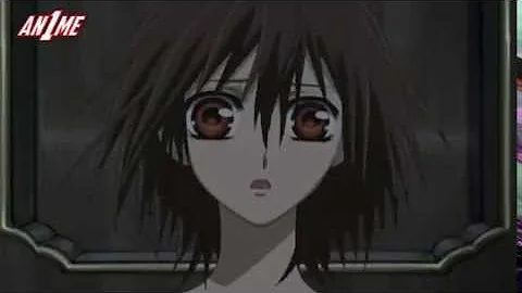 Does Vampire Knight have an anime?