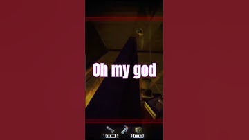 Duck chaos #crowdcontrol #repo #twitch #streamer #chaos #funny